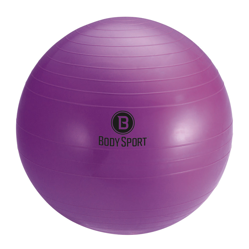 BodySport® Fitness Balls with Pump – BodySport® - Main Image