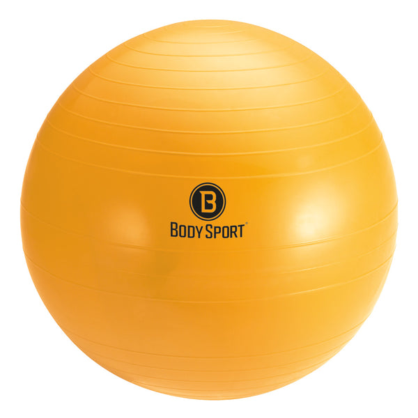 BodySport&reg; Fitness Balls with Pump